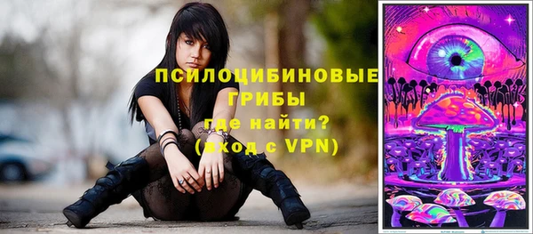 дживик Алексин
