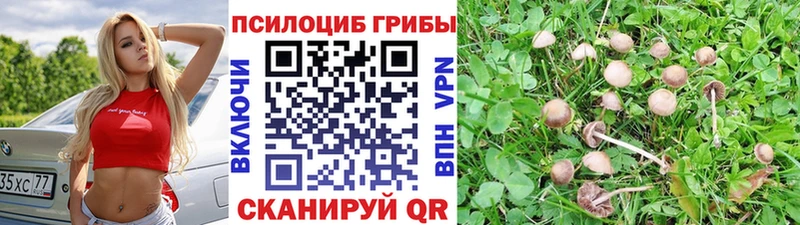 Галлюциногенные грибы мицелий Ясногорск